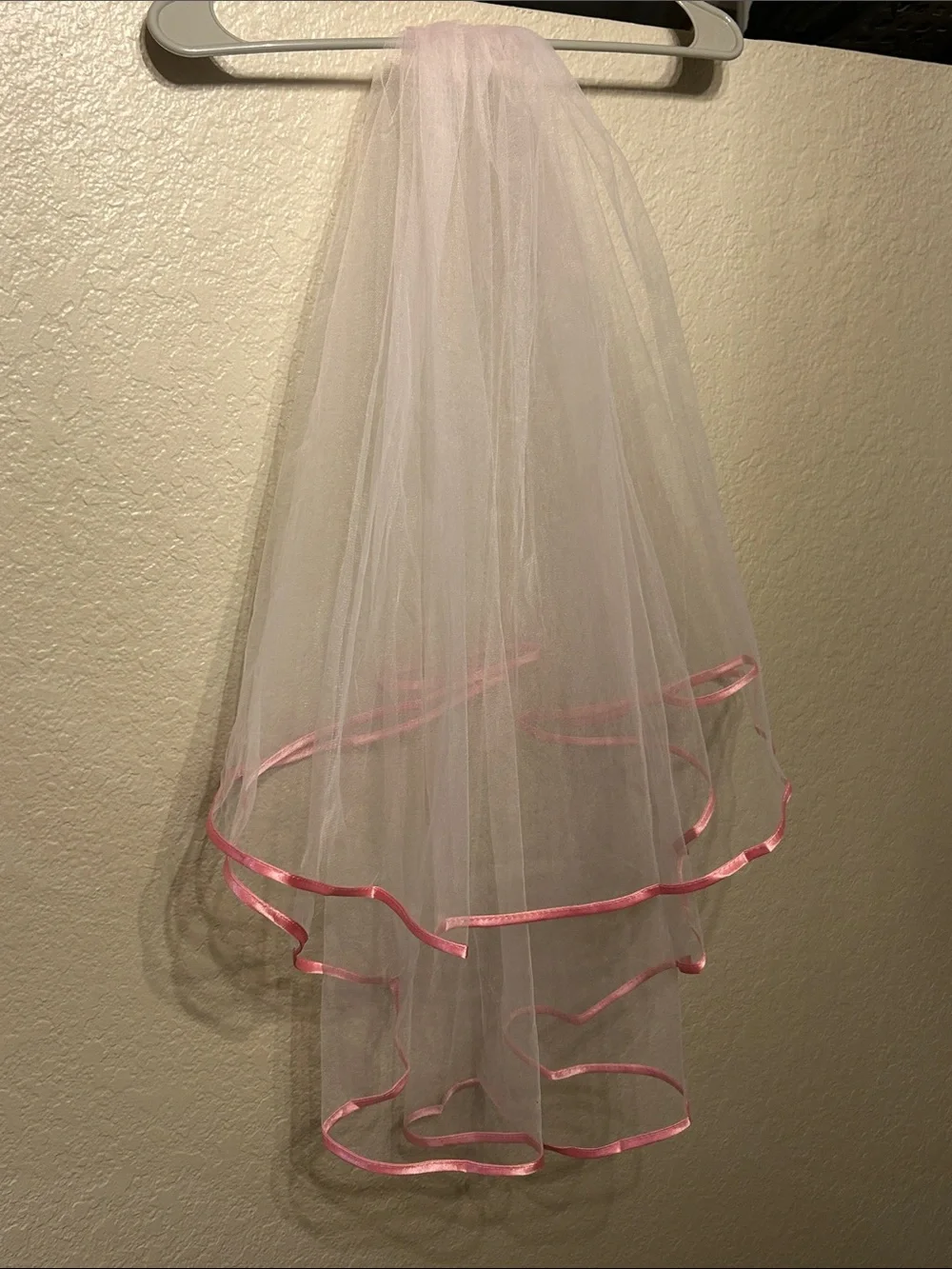 Pretty Pink Bachelorette Party Veil